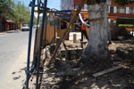 2013-10-01_12-32-04_DSC_4645.jpg