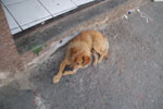 2013-10-02_13-02-17_DSC_4784.jpg