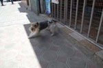 2013-10-02_13-04-29_DSC_4785.jpg