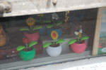 2013-10-02_13-51-12_DSC_4797.jpg