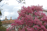 2013-10-02_14-14-58_DSC_4840.jpg
