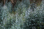 2013-10-02_14-40-06_DSC_4933.jpg