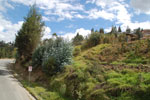 2013-10-02_14-43-42_DSC_4937.jpg
