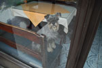 2013-10-03_15-49-38_DSC_5161.jpg