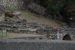 2013-10-03_15-57-07_DSC_5167.jpg