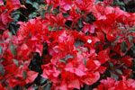 2013-10-03_17-15-49_DSC_5234.jpg