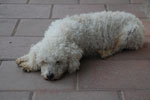 2013-10-04_15-11-26_DSC_5292.jpg