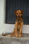 2013-10-04_15-29-34_DSC_5309.jpg