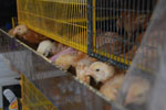 2013-10-04_16-09-01_DSC_5335.jpg