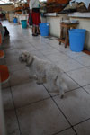 2013-10-04_16-48-33_DSC_5350.jpg