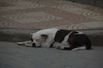 2013-10-04_17-19-37_DSC_5368.jpg