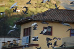2013-10-04_17-34-44_DSC_5388.jpg