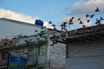 2013-10-04_17-37-17_DSC_5412.jpg