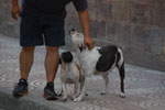 2013-10-04_17-42-32_DSC_5436.jpg
