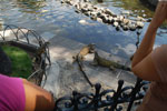 2013-10-06_15-00-11_DSC_5537.jpg