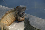 2013-10-06_15-00-17_DSC_5538.jpg