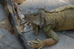 2013-10-06_15-00-29_DSC_5540.jpg