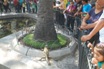 2013-10-06_15-00-58_DSC_5542.jpg