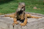 2013-10-06_15-02-09_DSC_5549.jpg