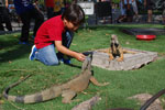 2013-10-06_15-02-18_DSC_5552.jpg