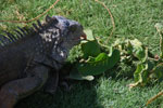 2013-10-06_15-02-47_DSC_5553.jpg
