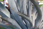 2013-10-06_15-03-41_DSC_5556.jpg