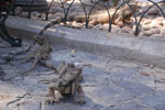 2013-10-06_15-04-00_DSC_5557.jpg