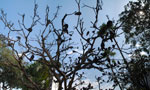 2013-10-06_15-04-49_DSC_5561-pan.jpg