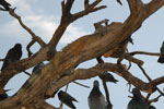 2013-10-06_15-05-06_DSC_5567.jpg