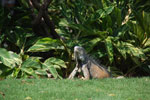2013-10-06_15-06-52_DSC_5572.jpg