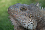 2013-10-06_15-08-59_DSC_5587.jpg