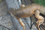 2013-10-06_15-09-45_DSC_5597.jpg