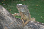 2013-10-06_15-15-03_DSC_5614.jpg