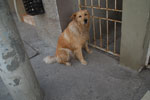 2013-10-07_16-00-00_DSC_5773.jpg
