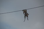 2013-10-08_15-54-40_DSC_5803.jpg