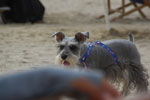 2013-10-08_15-57-47_DSC_5807.jpg