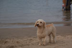2013-10-08_16-58-59_DSC_5910.jpg