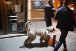2013-10-14_20-37-47_DSC_6157.jpg