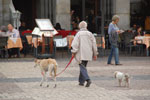2013-10-15_17-26-14_DSC_6238.jpg