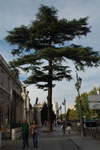 2013-10-15_17-45-46_DSC_6286.jpg