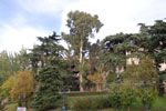 2013-10-15_17-55-32_DSC_6312.jpg