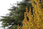 2013-10-15_18-25-35_DSC_6364.jpg