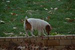2013-10-15_18-33-27_DSC_6373.jpg