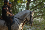 2013-10-15_18-54-52_DSC_6395.jpg