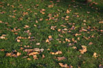 2013-10-15_19-07-32_DSC_6398.jpg