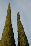 2013-10-15_19-14-14_DSC_6414.jpg