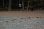 2013-10-15_19-14-41_DSC_6415.jpg