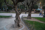 2013-10-15_19-28-16_DSC_6432.jpg