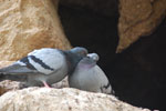 2013-10-18_17-32-43_DSC_6682.jpg