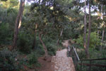 2013-10-18_17-48-52_DSC_6733.jpg